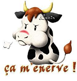 ça m'enerve
